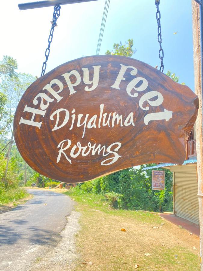Happy Feet Diyaluma Bed and Breakfast Koslanda Exteriör bild